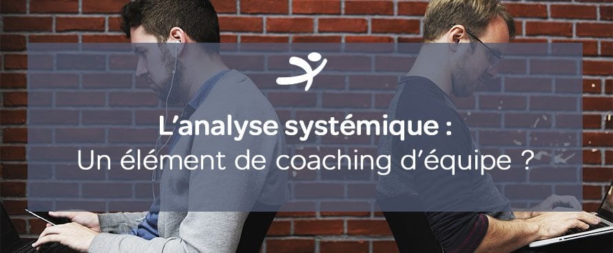 l'analyse systémique